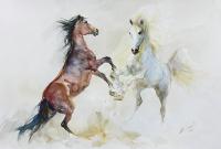Tańczące konie