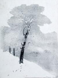 Oszronione drzewo, 1924 r.