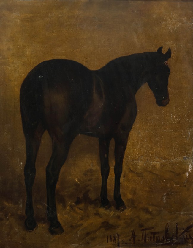 studium-konia-1887-r-antoni-piotrowski